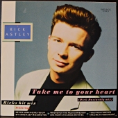Rick Astley ‎- Hold Me In Your Arms  PL 71932