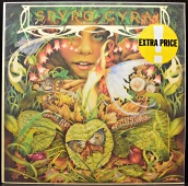Spyro Gyra - Morning Dance  250 420-1