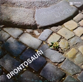 Brontosauři ‎- Na Kameni Kámen 
8113 0567
www.blackvinylbazar.cz