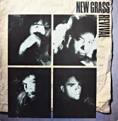 New Grass Revival ‎- Friday Night In America 11 1046-1 311