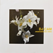 DJ Cam ‎- Underground Vibes UVN19001