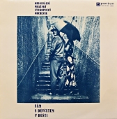 Originální Pražský Synkopický Orchestr - Sám S Děvčetem V Dešti
81 0763-1311 Originální Pražský Synkopický Orchestr - Sám S Děvčetem V Dešti
81 0763-1311