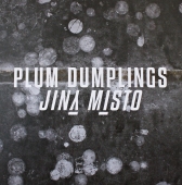 Plum Dumplings - Jiný Místo www.blackvinylbazar.cz-LP-CD-gramofon