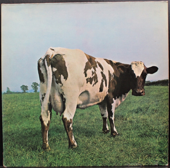 pink floyd atom heart mother full album mp3 download pink floyd atom heart mother full album mp3 download